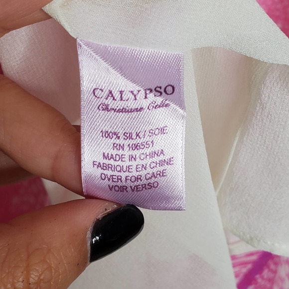 CALYPSO CHRISTIANE CELLE Pink Embellished Short Sleeve Silk Mini Dress Sz S/M - Picture 6 of 7